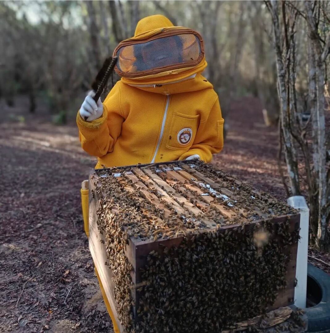 Foto de um registro de um dia de manejo de abelhas Africanizadas