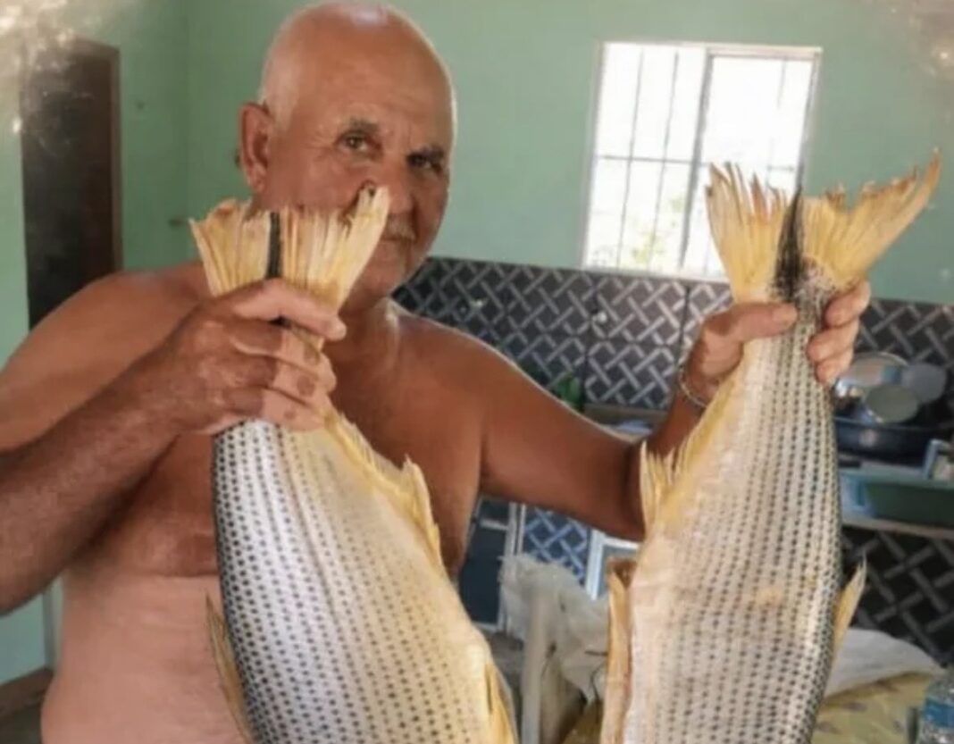 Foto do rapaz atacado por abelhas